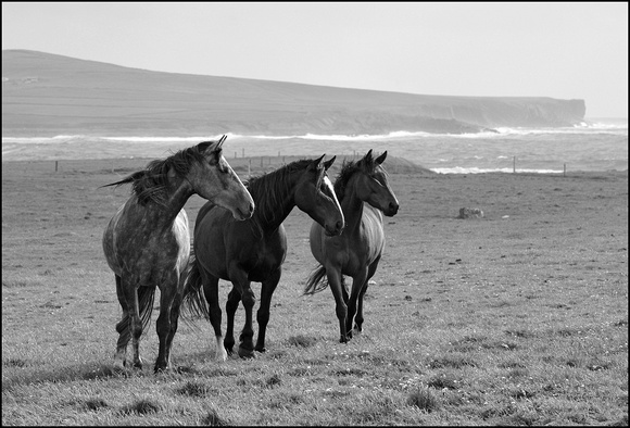 Three Horses, County Clare