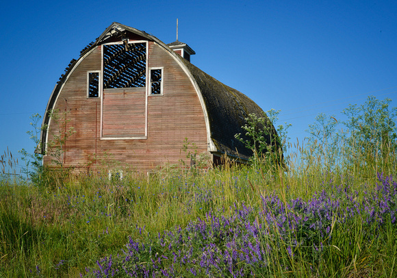 Barn 1