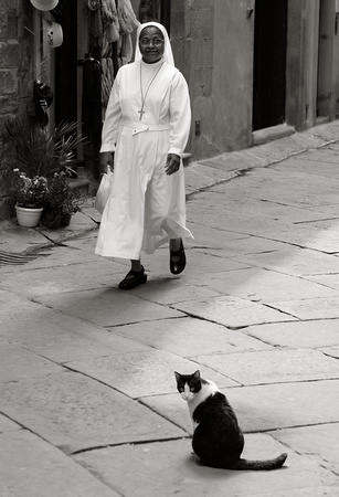 Nun & cat, Cortona